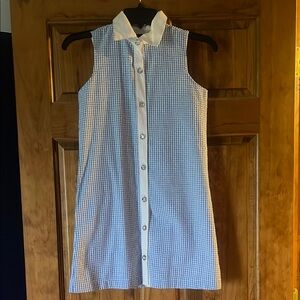 Blue and White Gingham Sleeveless Dress